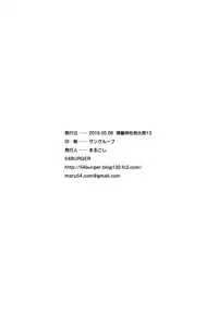 (Reitaisai 13) [54BURGER (Marugoshi)] Flan-chan no Pet (Touhou Project) [Chinese] [迷途竹林汉化]