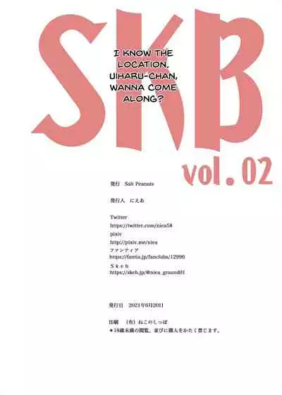 [Salt Peanuts (Niea)] SKB vol. 2 (Toaru Kagaku no Railgun) [English] {Doujins.com} [Digital]