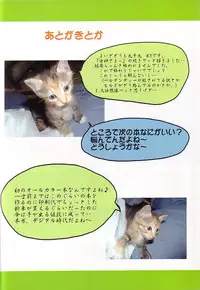 (C64) [Studio Rakugai Shachuu (Tukumo Keiichi)] Tamashi no Yodomi (Ah! My Goddess)