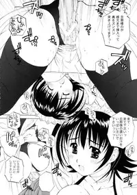 (C69) [Kamogawaya (Kamogawa Tanuki)] Iroha ni Hoheto (Samurai Spirits)