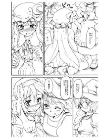 (Reitaisai 3) [Paranoia Cat (Fujiwara Shunichi)] TRANQUILLIZERS (Touhou Project)