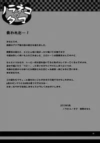 (COMIC1☆5) [Noraneko-no-Tama (Yukino Minato)] Kago no Naka no Kotori wa Itsu Deyaru 2 | When Will The Caged Bird Be Released 2 [English] =LWB=