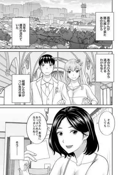 Innyu Shufu no Futei Ganbou
