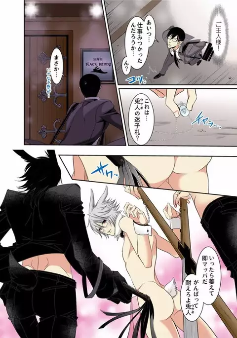 Hatsujou Bunny Shitsuji II