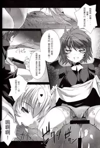 [MISS BLACK OFFLINE (MISS BLACK)] Der Lieben Valesti (Busou Shinki) [2013-01-20] [Chinese] [沒有漢化]
