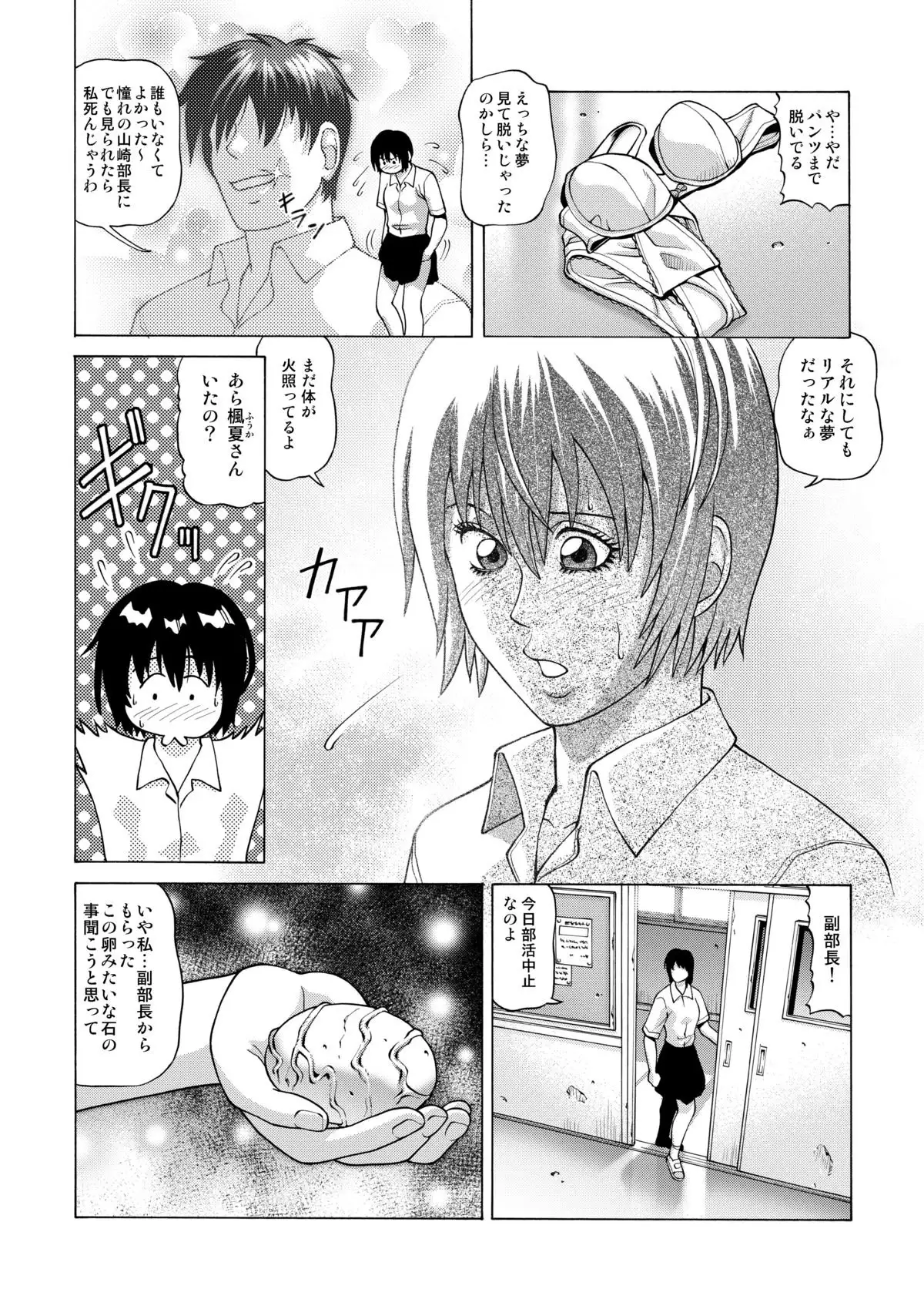 Shinbunbu・Kaedenatsu no junan ～shokushu ni haramasareru watashi～