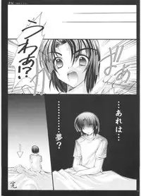 [ARC (Tamagawa Yukimaru)] Yume Utsutsu (Gundam Seed Destiny)