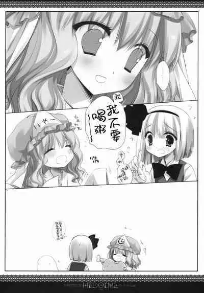 (SC48) [CHRONOLOG, D.N.A.Lab. (Sakurazawa Izumi, Miyasu Risa)] HIDOIME (Touhou Project) [Chinese] [Incomplete]