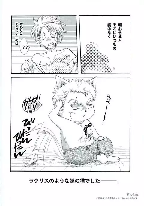 宵闇の星