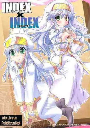 (C74) [I'll Chou, Yuunagi Zakkaten (Akari Ryuryuu, Minazuki No-mu)] INDEX x INDEX (Toaru Majutsu no Index) [Chinese] [????????]