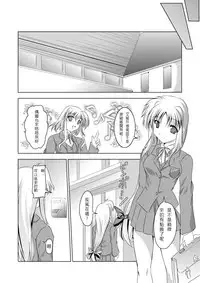 (C74) [TRICKorTREAT (Kagura Tsukune)] InSulT II (Mahou Shoujo Lyrical Nanoha) [Chinese] [靴下汉化组]