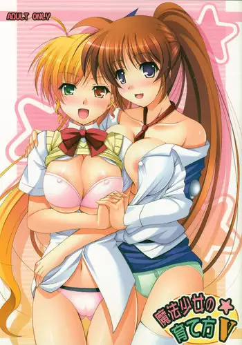 (C72) [MILK BAR (Shirogane Hina)] OVER DRIVE (Mahou Shoujo Lyrical Nanoha StrikerS)