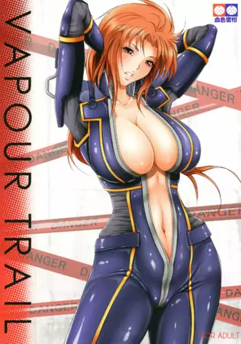 夫婦艦性交渉議題