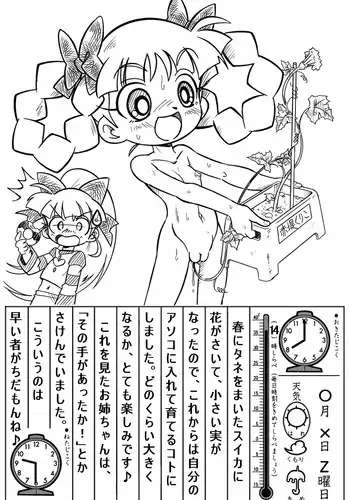 セカンドセックス・コンプレックス