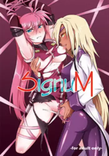 [??] SignuM (Mahou Shoujo Lyrical Nanoha) [Digital]