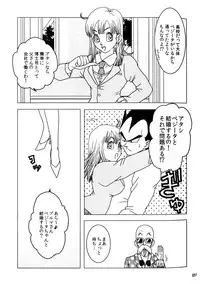 MOEBON BALL KAI (Dragonball Z) [Vegeta X Bulma]