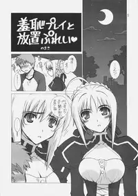(C70) [WILD KINGDOM (Sensouji Kinoto)] FATE MAGIC (Fate/stay night)