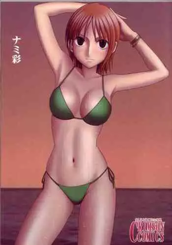 [Crimson Comics (Carmine)] Nami Sai (One Piece) [Chinese] [?????]