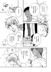 (Shadow Trickster 5) [Trough-Bird (Minase Taruhi)] Sweet Cherry Pink (Kuroko no Basuke)