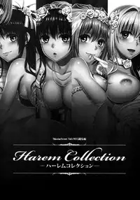 (C86) [Maniac Street (Oono, Sugaishi)] Harem Collection (To LOVE-Ru) [Decensored] [Chinese] [兔神個人漢化]