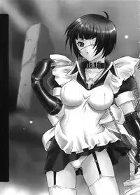 (C67) [2CV.SS (Asagi Yoshimitsu)] den dou gun musume (various)