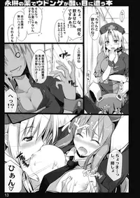 (Reitaisai 7) [Shimoyakedou (Ouma Tokiichi)] Eirin no Kusuri de Udonge ga Hidoi Meniau Hon (Touhou Project)