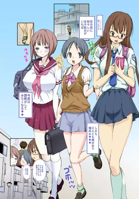 Yaritai Toki ni Yaritai Houdai
