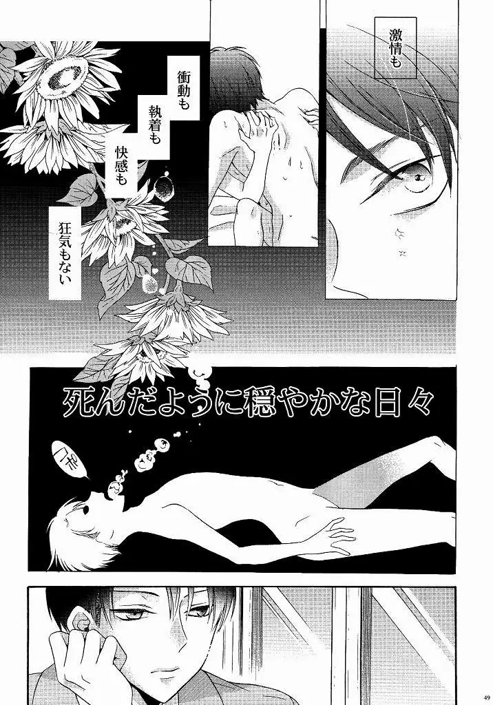 向日葵の咲く冬