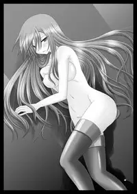 (SC41) [valssu] Melon Niku Bittake! V -the last- (Tales of the Abyss)