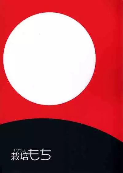 (C94) [House Saibai Mochi (Shiratama Moti)] Doppelganger no Mitsugetsu (Puella Magi Madoka Magica Side Story: Magia Record)[Chinese] [大友同好会]