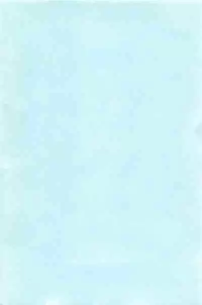 Hatsujou Message