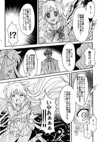 (C78) [Kotori Jimusho (Sakura Bunchou)] Sailor Senshi Kaibou Keikaku (Sailor Moon)