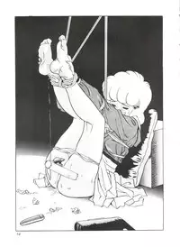 [Moriman Shoten (Hayashibara Hikari)] Omocha Hako (Various)