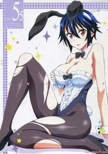 (C83) [Project Harakiri (Kaishaku)] Nisenisekoi (Nisekoi) [Chinese] [佳奈助汉化组]