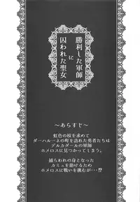 (TWINKLE MIRAGE 9) [Honnori Tei (Honnori)] Shouri Shita Gunshi ni Torawareta Seijo (Dragon Quest XI)