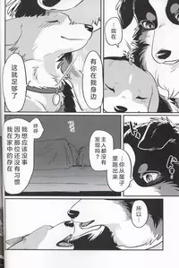 (Kansai! Kemoket 7) [Kaiten ParaDOGs (Diga Tsukune)] Usotsuki Tachi no " " | 讹言者们的“ ” [Chinese] [兔屋汉化组]