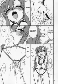 (C68) [EINSATZ GRUPPE (Charlie Nishinaka)] PRISONER 6 The song of the fake (Gundam SEED Destiny) [English] [ReMoe] [Incomplete]