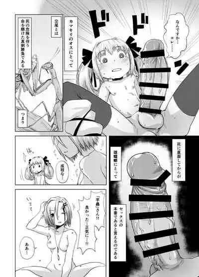 華蟷螂の♂