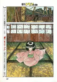 Lemon People 1987-03 Zoukangou Vol. 70 All Color