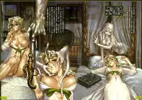 shirow pieces 3