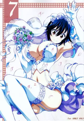 (C83) [Project Harakiri (Kaishaku)] Nisenisekoi (Nisekoi) [Chinese] [佳奈助汉化组]