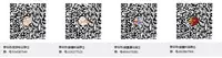 [micro page (Kuromotokun)] JC Chikan de Seikyouiku 2 [Chinese] [脸肿汉化组] [Digital]
