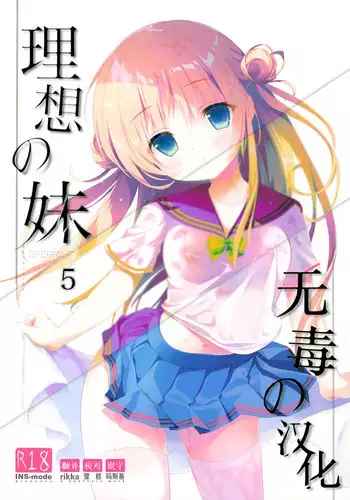 (C90) [INS-mode (Amanagi Seiji)] Risou no Imouto 3 [Chinese]