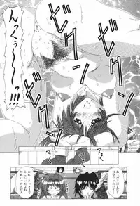 [Feena] A.I.U.E.O BODY