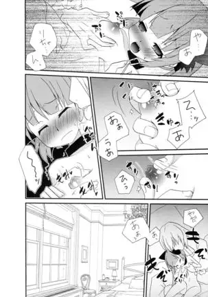 Tadashii Nyanko no Shitsukekata