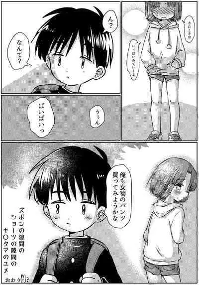 Zubon no Sukima no Shorts no Sukima no Kintama no Yume