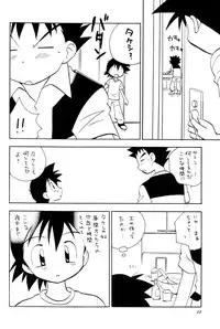 (C73) [Kurikomi (Adachi Himiko)] Beautiful Days (Pokémon)