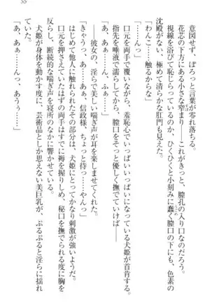 戦国犬姫！