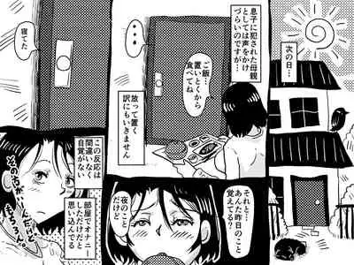 Kasou Genjitsu ni Hikikomoru Musuko no Real SeFri ni Natta Okaa-san no Hanashi.