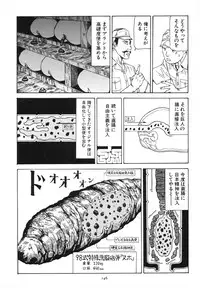 [Kago Shintarou] Kagayake! Dai Toua Kyouei Ken